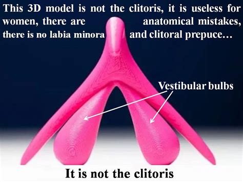 clit hood|Anatomy, Function, Care, and Conditions of the Clitoris